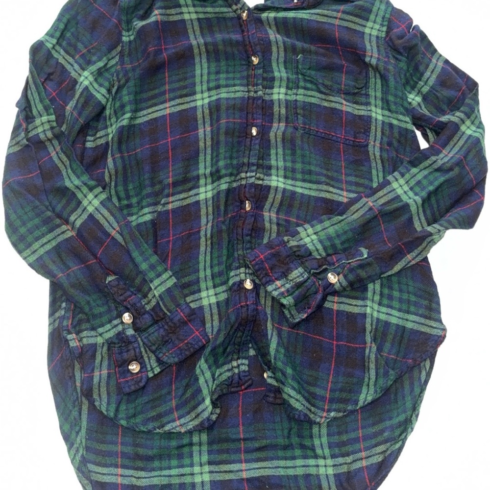 American Eagle Outfitters Blue and Green Plaid flannel